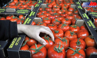 جنگ گوجه فرنگی میان روسیه و ترکیه پایان یافت