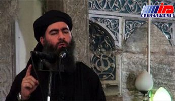 یکی از اعضای داعش: ابوبکر بغدادی زنده است