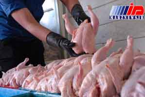 صادرات مرغ به افغانستان از سر گرفته شد