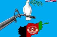 چشمه صلح در افغانستان با تلنگر آتش بس جوشید