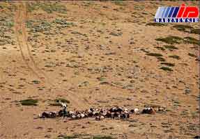 خطر بیابانی شدن 300 هزار هکتار از اراضی گلستان