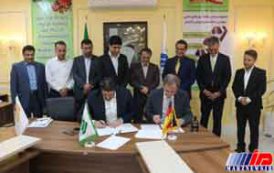 دانشگاه های بوشهر و آلمان تفاهم نامه همکاری امضا کردند