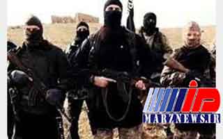 بازداشت ۸ تروریست داعشی در موصل
