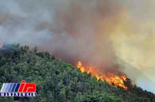 جنگل هیرکان جمهوری آذربایجان در مرز ایران دچار آتش سوزی شد