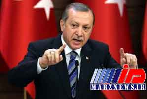 درخواست اردوغان از مردم برای تقویت پول ملی