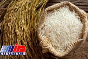 ممنوعیت واردات برنج تا آخر شهریور ادامه دارد