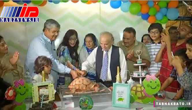 جشن تولد برای لاک پشت « سولکاتا» در پاکستان