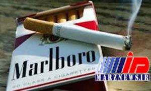 تلاش مدیر دولتی برای کسب سود از واردات سیگار