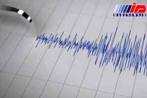 زلزله کنگاور را لرزاند