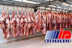 رشد 300 درصدی صادرات دام زنده عاملی مهم در گرانی گوشت قرمز