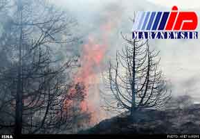 مهار آتش سوزی ‌جنگل‌های بلوط اندیمشک