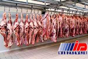 واردات گوشت گاو منجمد ۷ درصد افزایش یافت