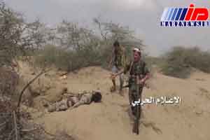 ارتش یمن به پیروزی هایی در جنگ با عربستان دست یافت