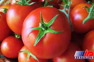 هشت دستگاه تریلی رب گوجه قاچاق در سیستان توقیف شد