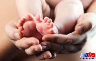 نخستین نوزاد زاهدانی به روش «ای وی اف» متولد شد