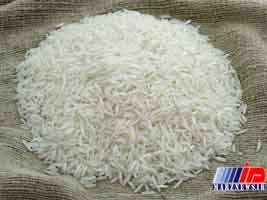 برنج مازندران صادراتی شد
