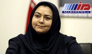 مدیرعامل شرکت هواپیمایی جمهوری اسلامی ایران خبر داد: مذاکره با سازندگان غیر اروپایی هواپیما برای نوسازی ناوگان هما