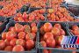 کشف ۱۵ تن گوجه فرنگی قاچاق در سومار کرمانشاه