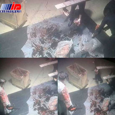 تصاویر قطعه قطعه کردن خاشقجی دروغ از آب درآمد