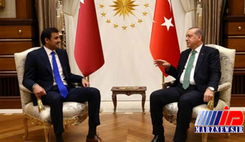 رئیس‌جمهور ترکیه و امیر قطر دیدار کردند