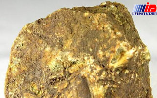 ۵۰۰ کیلوگرم سنگ طلای قاچاق در ورزقان کشف شد