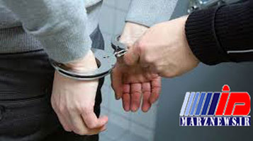 بازداشت دزد ۱۴ ساله