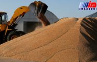 روسیه به سوریه ۲۰۰ هزار تن گندم می فروشد