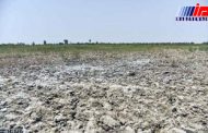 خشکسالی ۲۵۰۰ میلیاردتومان به سیستان وبلوچستان خسارت وارد کرد