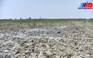 خشکسالی 2500 میلیاردتومان به سیستان وبلوچستان خسارت وارد کرد