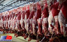 روسیه بدنبال صادرات گوشت گوسفندی به ایران است
