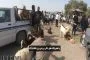 گوسفندانی که به چرا نمی روند !