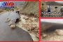 جزئیات حمله انتحاری علیه اتوبوس نیروهای سپاه