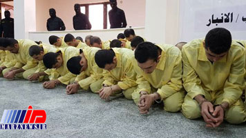 بازداشت حدود ۲۰۰ تروریست در الرمادی عراق