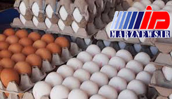 احتمال وضع عوارض برای صادرات تخم مرغ