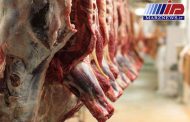 توانایی سیستان و بلوچستان در تولید سالانه ۹۰ هزار تن گوشت قرمز