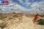 خراسان جنوبی برای مقابله با ملخ های صحرایی آماده است