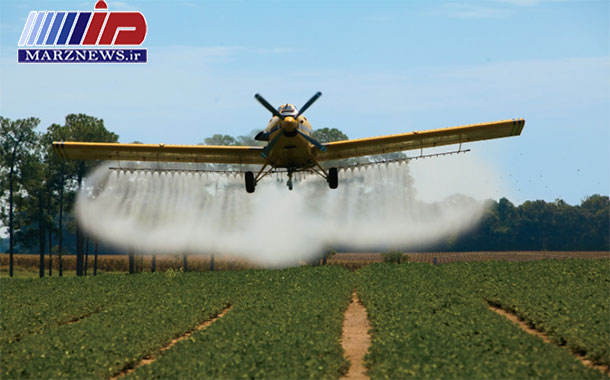 ۵۶۳ هزار هکتار در خوزستان برای مبارزه با آفت ملخ پایش شد