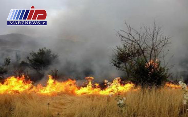 ۹۰ نقطه مستعد آتش‌سوزی در مراتع استان ایلام شناسایی شد
