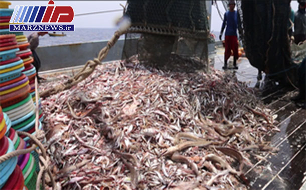 لغو مجوز صیادی ۱۶ کشتی ترال ماهگیری چینی