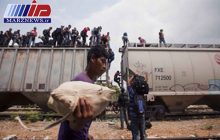 ۵۱ مهاجر در مرز مکزیک با آمریکا بازداشت شدند