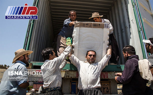 ساماندهی کولبران کردستان به کجا رسید؟