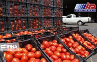 واردات گوجه فرنگی به اقلیم کردستان عراق ممنوع شد
