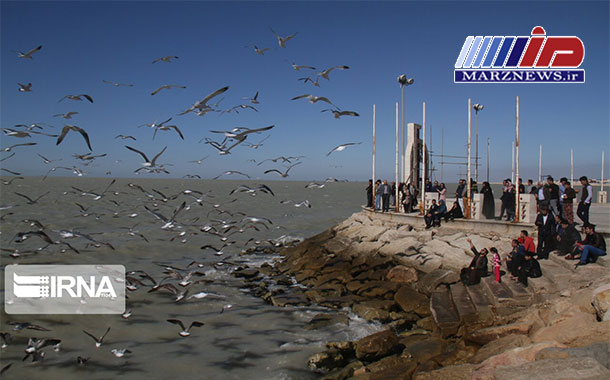 گردشگری دریایی در ساحلی غربی بوشهر رونق می‌یابد