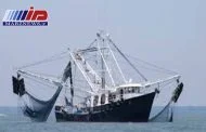 جزئیات توقیف ۷ کشتی صید ترال در جاسک