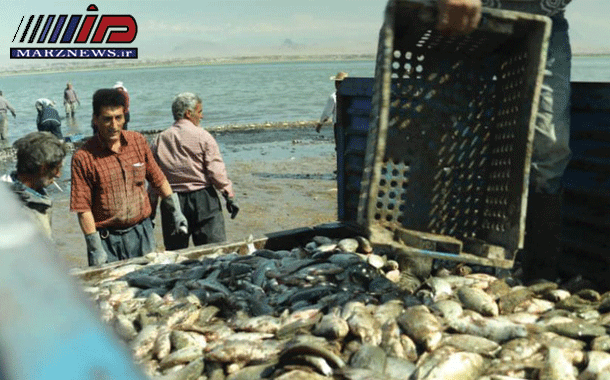 آغاز فصل صید ماهی در دریاچه پشت سد ارس منطقه آزاد ماکو