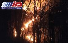 وقوع آتش سوزی شدید در جنگل های آقچای جمهوری آذربایجان