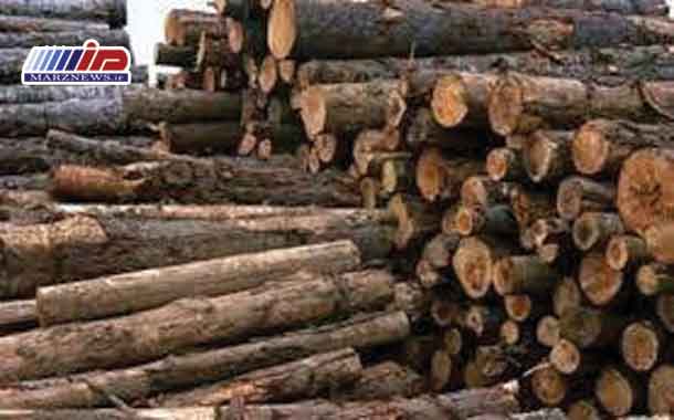 كشف چوب قاچاق توسط مرزبانان درگز