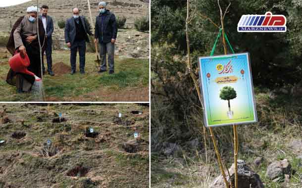 کاشت 141 اصله نهال به یاد شهدا توسط بیمه کوثر