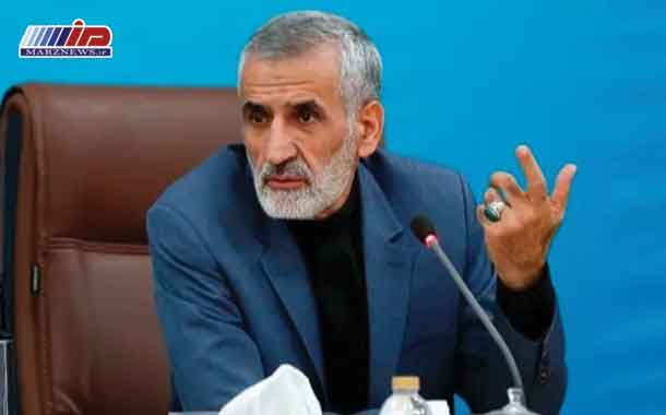 هماهنگی مستمر با دولت عراق برای مدیریت زائران اربعین انجام می‌شود