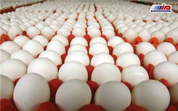 چرا قیمت تخم مرغ در خراسان رضوی افزایش یافته است؟